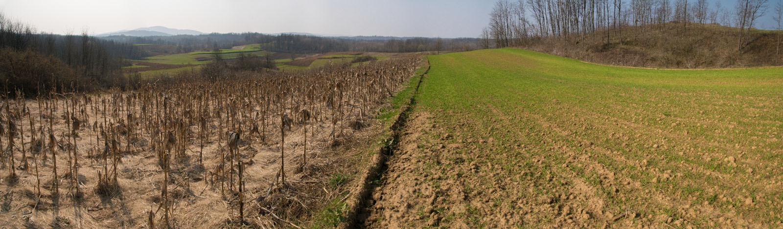 MREZNICA2 PANORAMA3